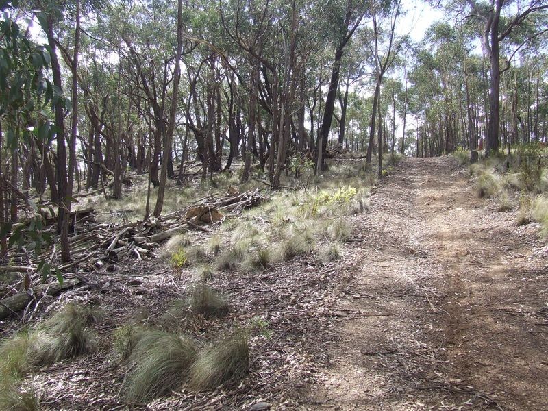 Lot 170 Bannaby Road, Taralga NSW 2580
