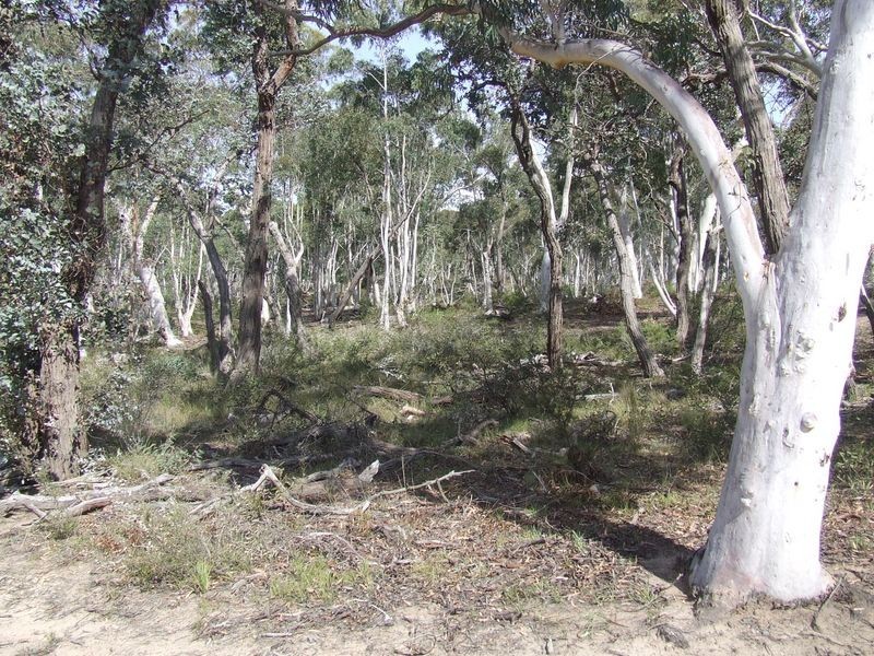 124 Rampion Hill Road, Marulan NSW 2579