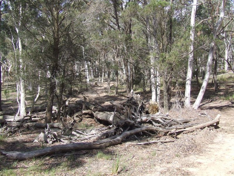 124 Rampion Hill Road, Marulan NSW 2579