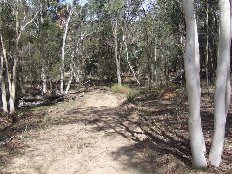 124 Rampion Hill Road, Marulan NSW 2579