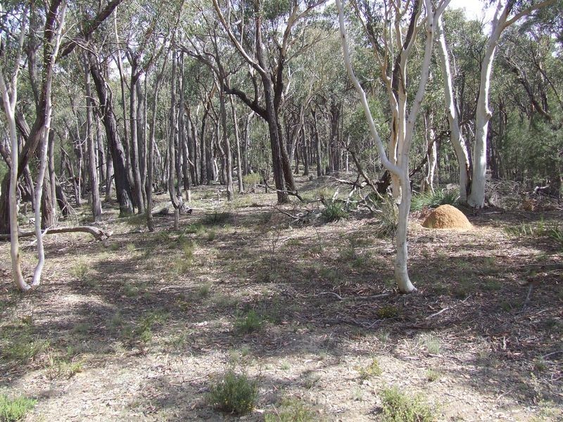 124 Rampion Hill Road, Marulan NSW 2579