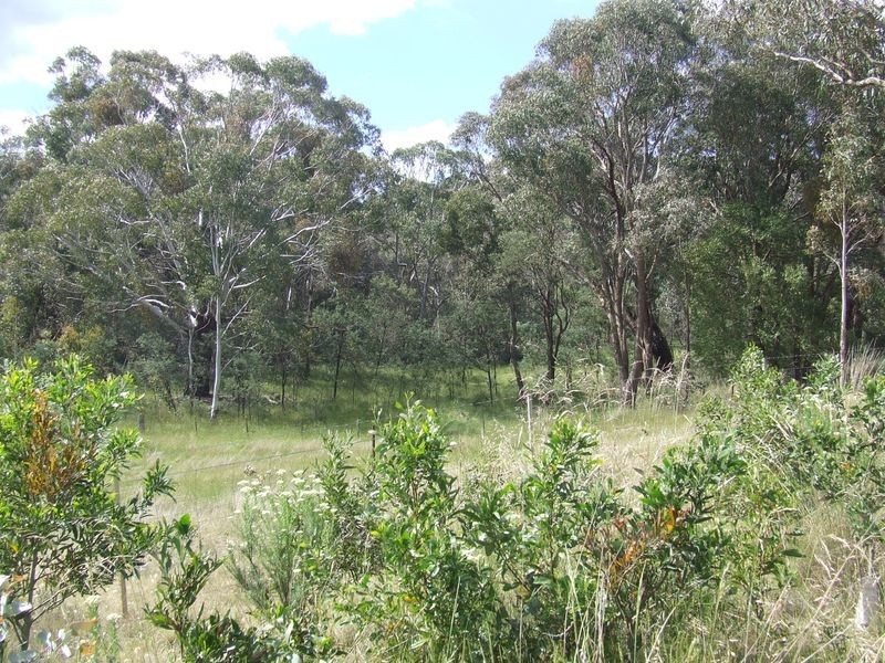 6501 Taralga Road, Taralga NSW 2580