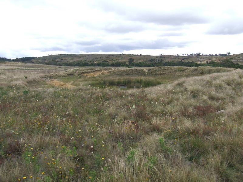 310 Spa Road, Windellama NSW 2580