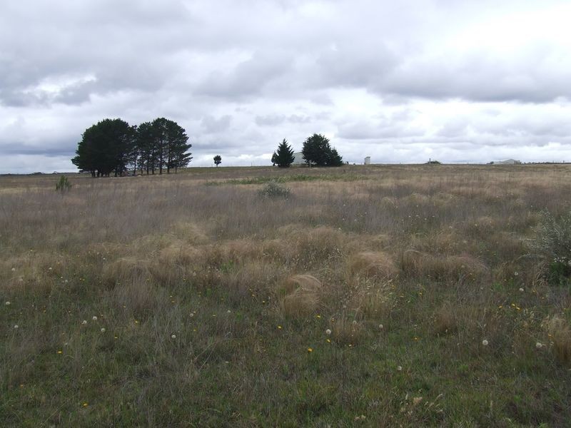 310 Spa Road, Windellama NSW 2580