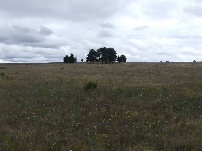 310 Spa Road, Windellama NSW 2580