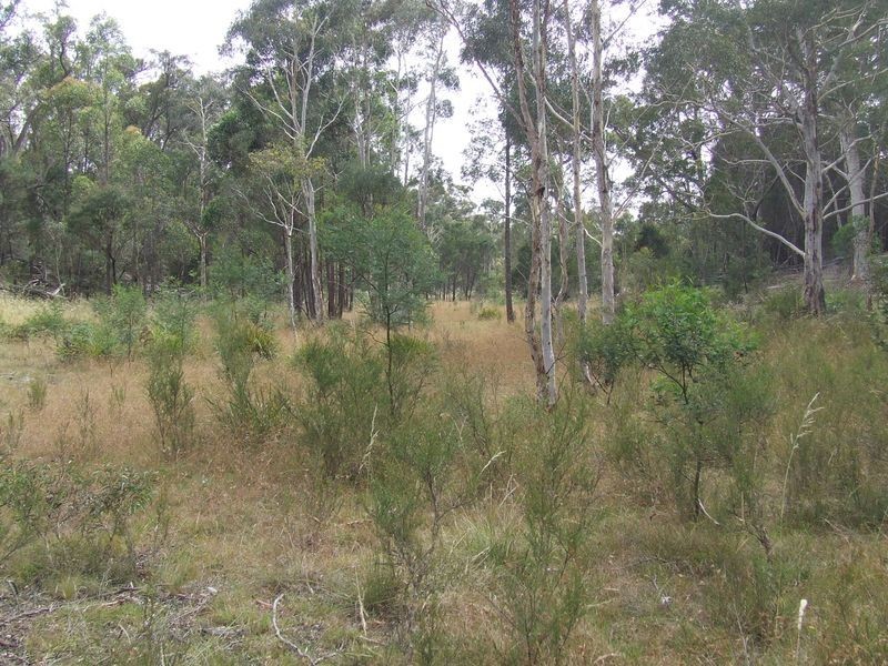 Lot 2 Oallen Ford Road, Windellama NSW 2580