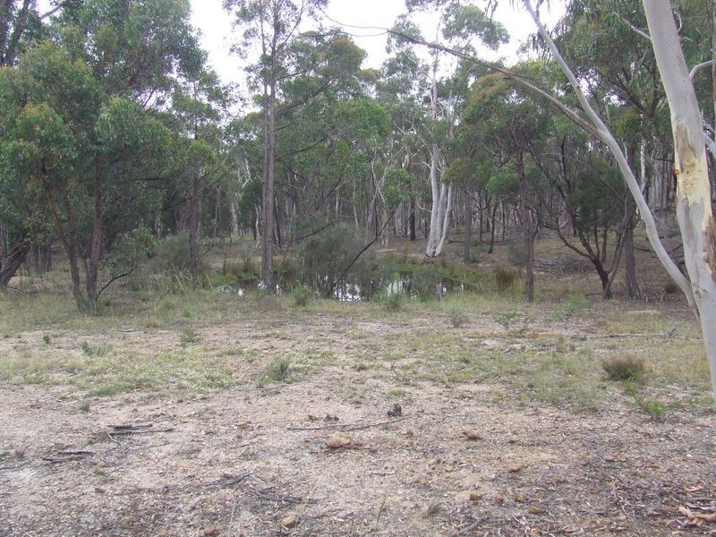 Lot 2 Oallen Ford Road, Windellama NSW 2580
