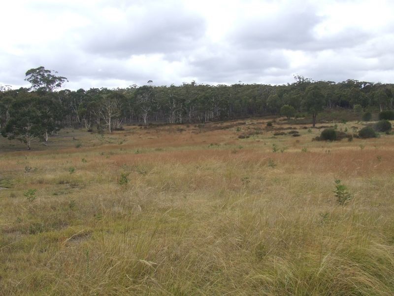 Lot 2 Oallen Ford Road, Windellama NSW 2580