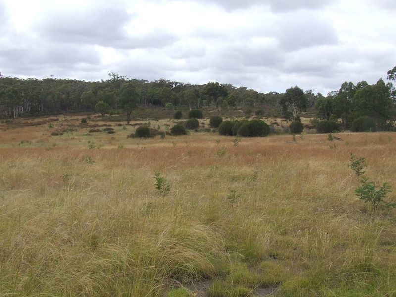 Lot 2 Oallen Ford Road, Windellama NSW 2580