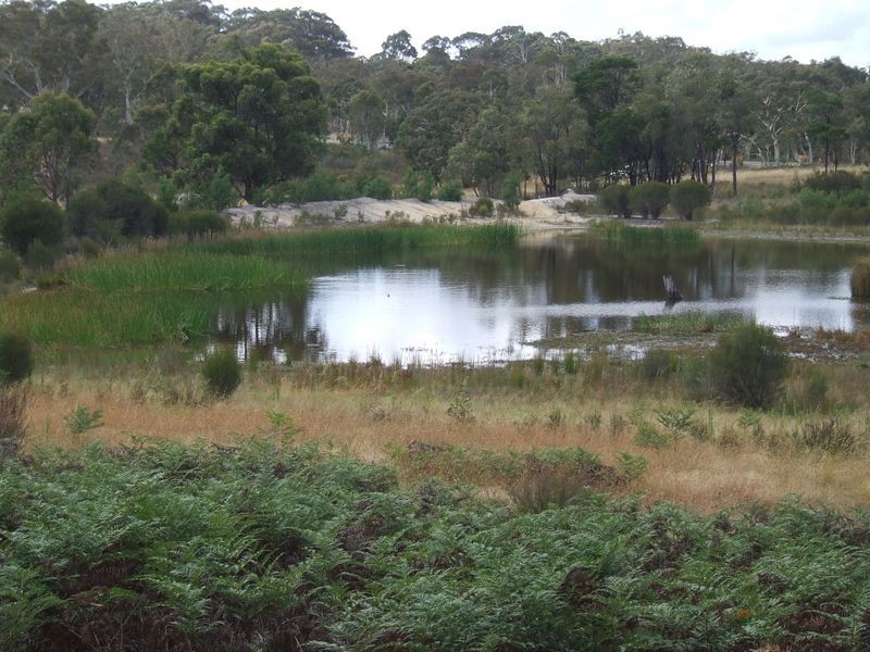 Lot 1 Oallen Ford Road, Windellama NSW 2580