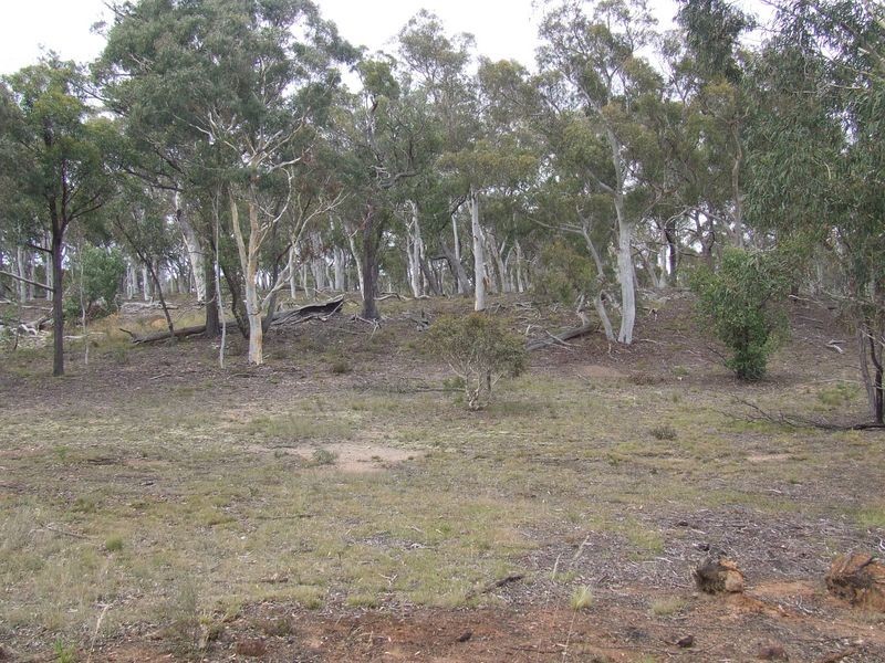 Lot 1 Oallen Ford Road, Windellama NSW 2580