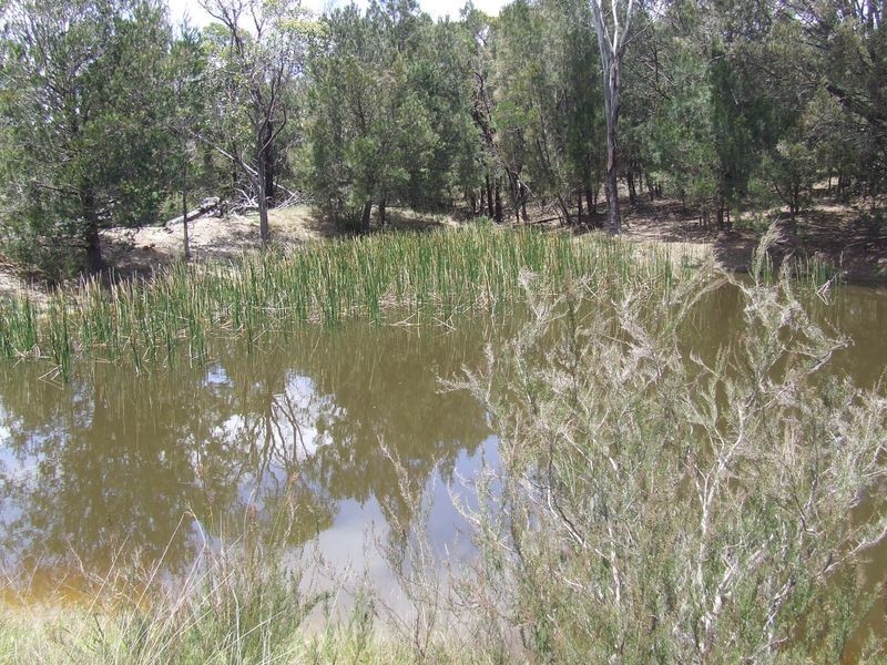 Lot 149 Fernleigh Close, Windellama NSW 2580