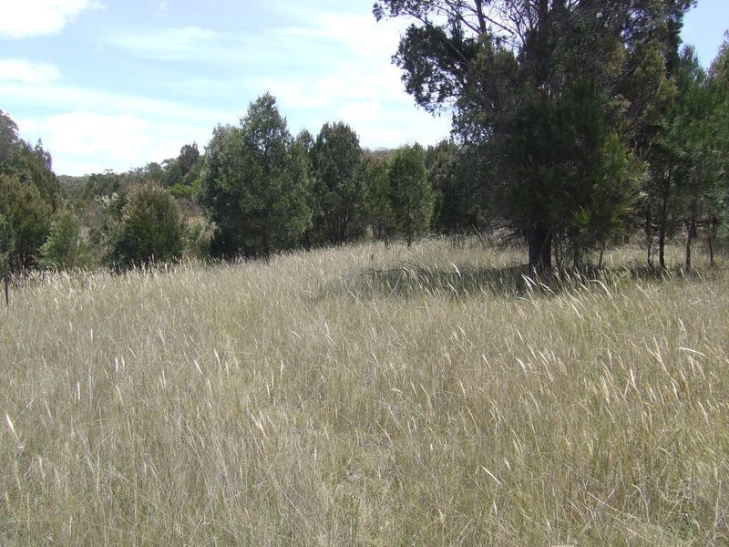 Lot 149 Fernleigh Close, Windellama NSW 2580