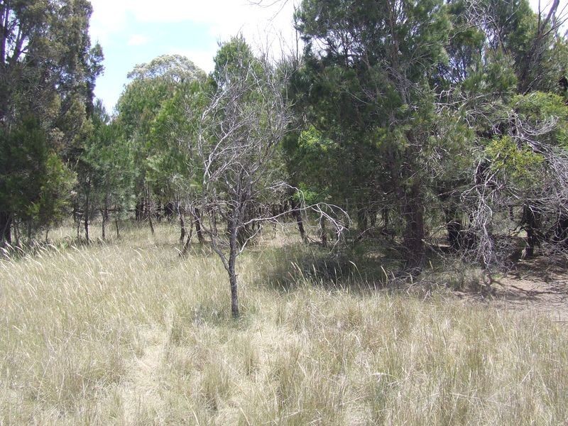 Lot 149 Fernleigh Close, Windellama NSW 2580