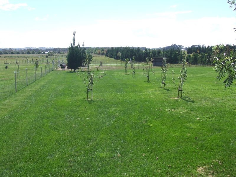 Lot 3 Croker Place Woodward Park Estate, Crookwell NSW 2583