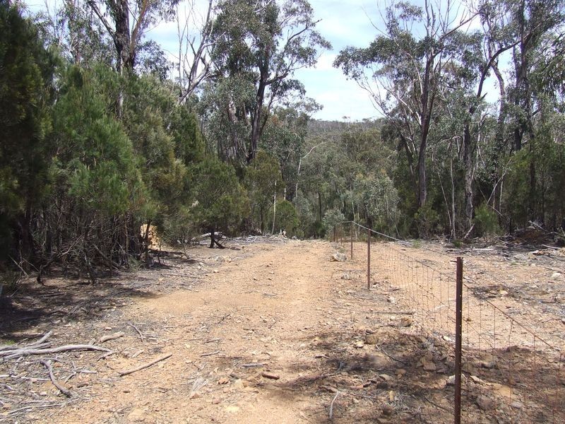 1080 Kooringaroo Road, Bannaby NSW 2580