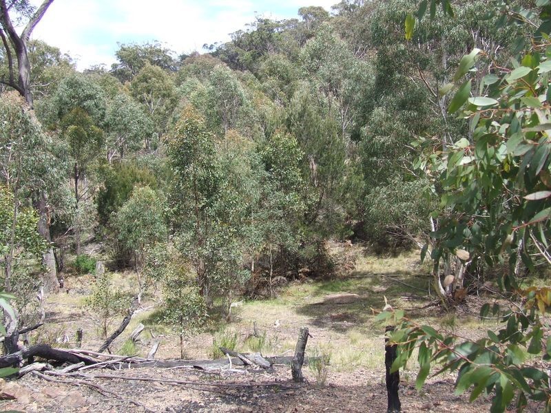 1080 Kooringaroo Road, Bannaby NSW 2580