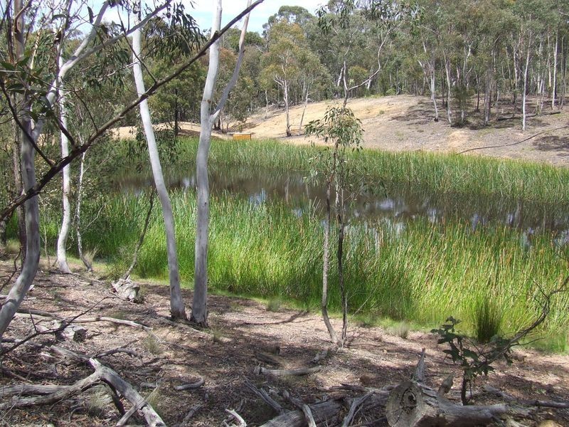 1080 Kooringaroo Road, Bannaby NSW 2580