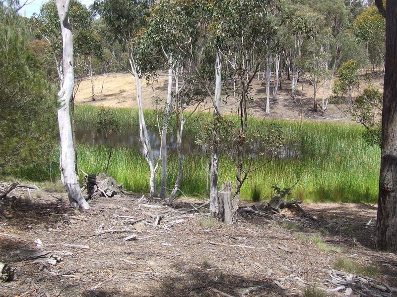 1080 Kooringaroo Road, Bannaby NSW 2580