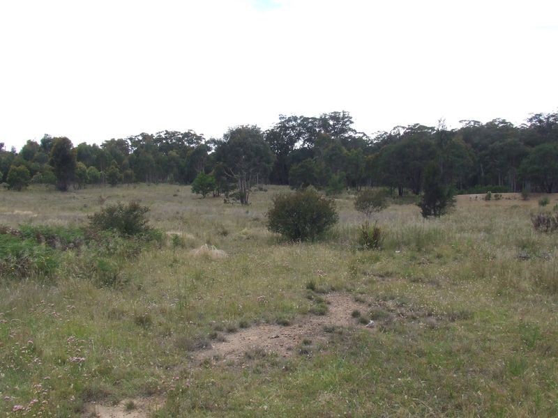 1080 Kooringaroo Road, Bannaby NSW 2580