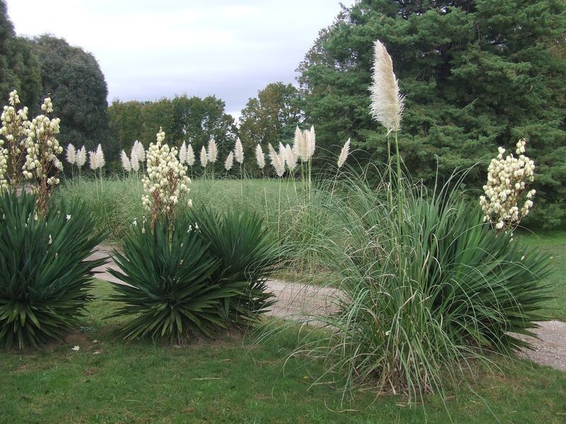 47 Rotherwood Road – Bonnie Doon, Tarago NSW 2580