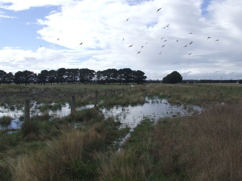 47 Rotherwood Road – Bonnie Doon, Tarago NSW 2580