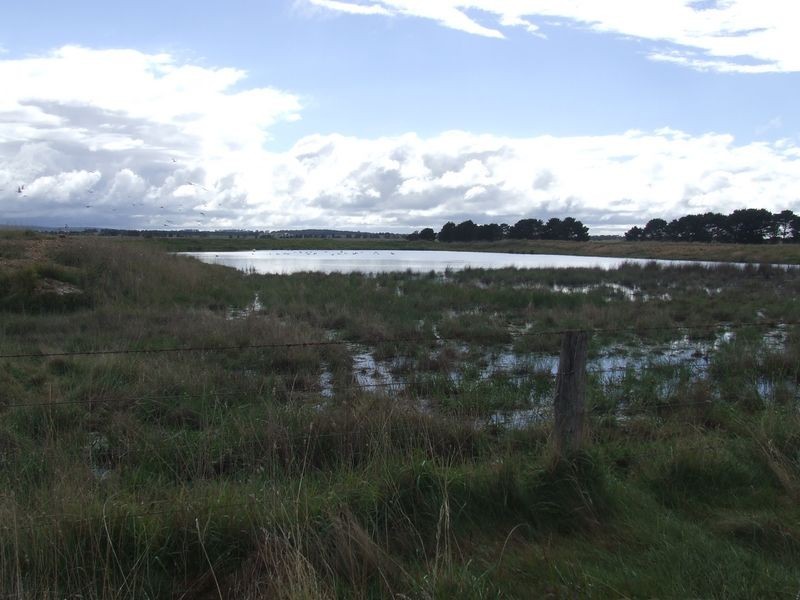 47 Rotherwood Road – Bonnie Doon, Tarago NSW 2580