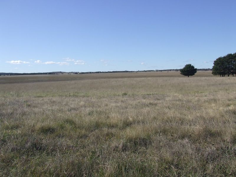 47 Rotherwood Road – Bonnie Doon, Tarago NSW 2580