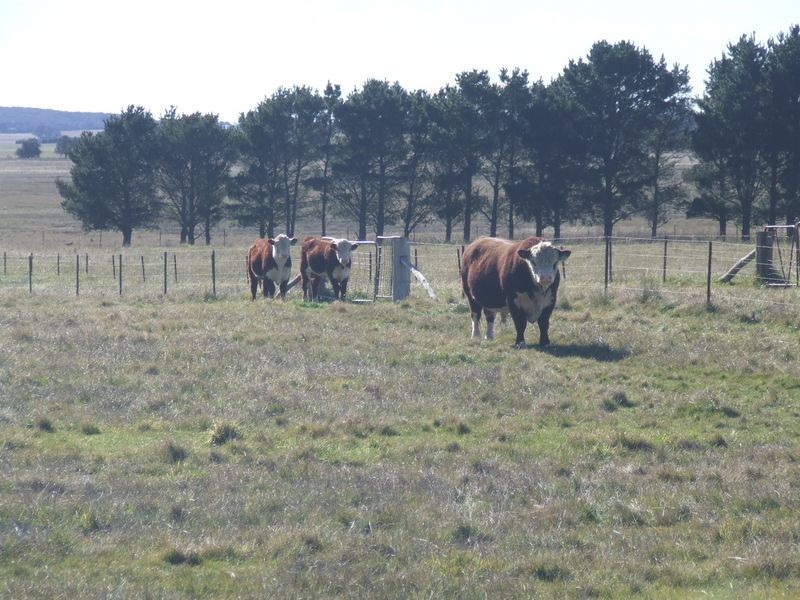 47 Rotherwood Road – Bonnie Doon, Tarago NSW 2580