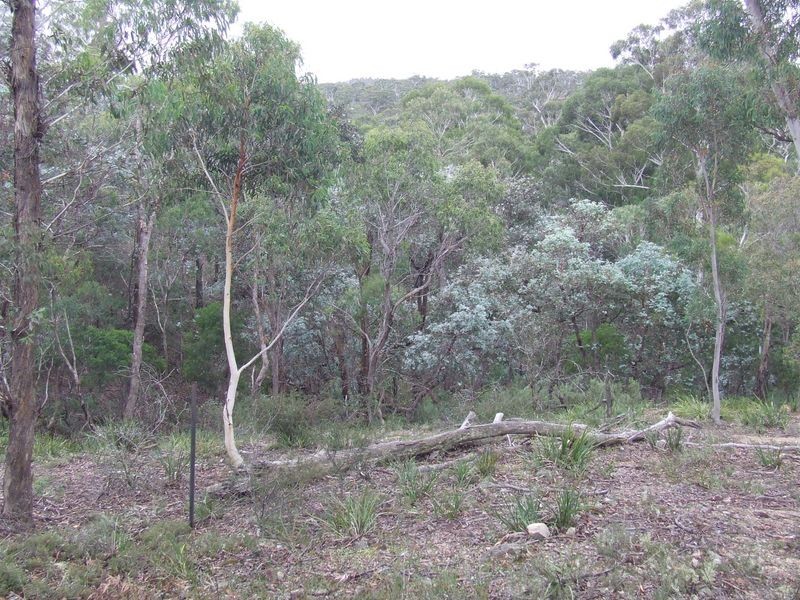 431 Strawberry Creek Road, Windellama NSW 2580