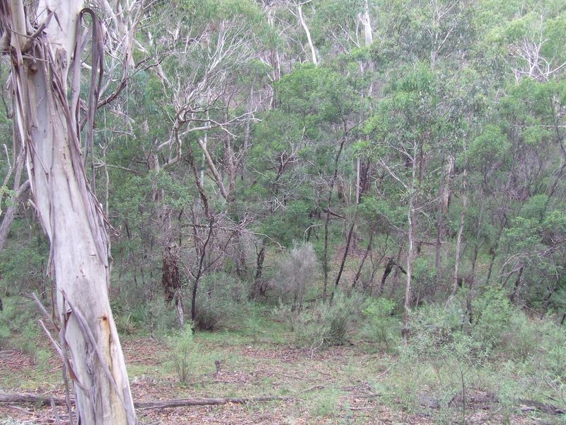 431 Strawberry Creek Road, Windellama NSW 2580