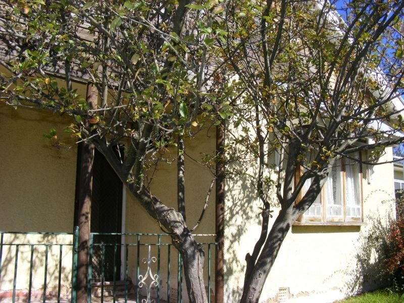 274 Combermere Street, Goulburn NSW 2580