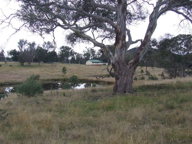 2168 Brayton Road, Big Hill NSW 2579