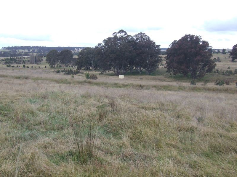 2168 Brayton Road, Big Hill NSW 2579