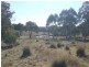 Lots 99-128-13 Mullers Lane Collector Road, Gunning NSW 2581