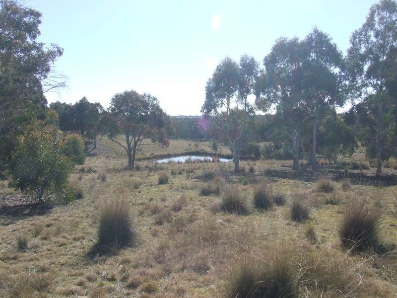 Lots 99-128-13 Mullers Lane Collector Road, Gunning NSW 2581