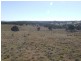 Lots 99-128-13 Mullers Lane Collector Road, Gunning NSW 2581
