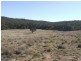 Lots 99-128-13 Mullers Lane Collector Road, Gunning NSW 2581
