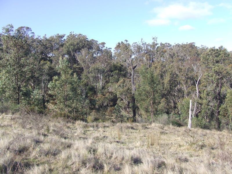 Lot 98 Newfoundland Road, Taralga NSW 2580