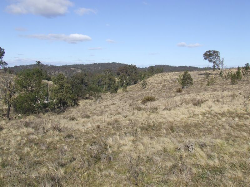 Lot 98 Newfoundland Road, Taralga NSW 2580