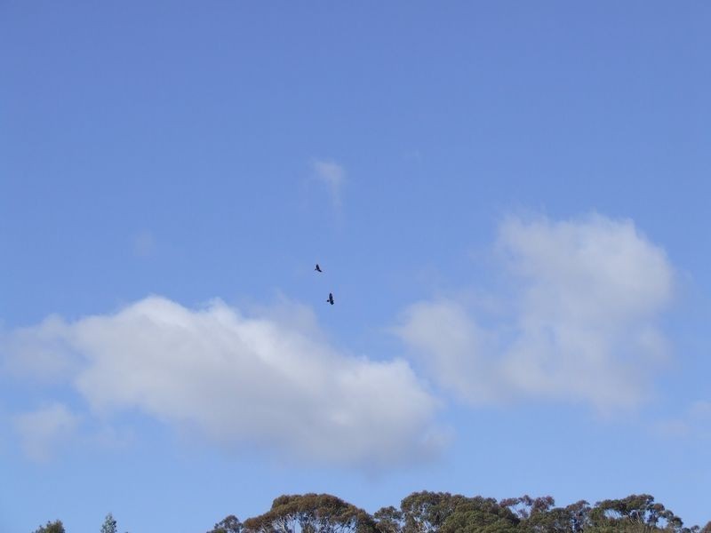 Lot 98 Newfoundland Road, Taralga NSW 2580