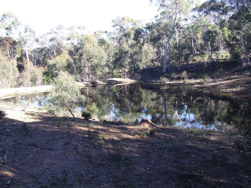 962 Cullulla Road, Tarago NSW 2580