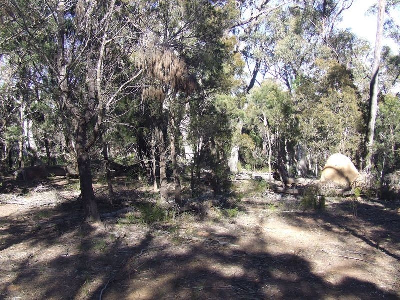 962 Cullulla Road, Tarago NSW 2580