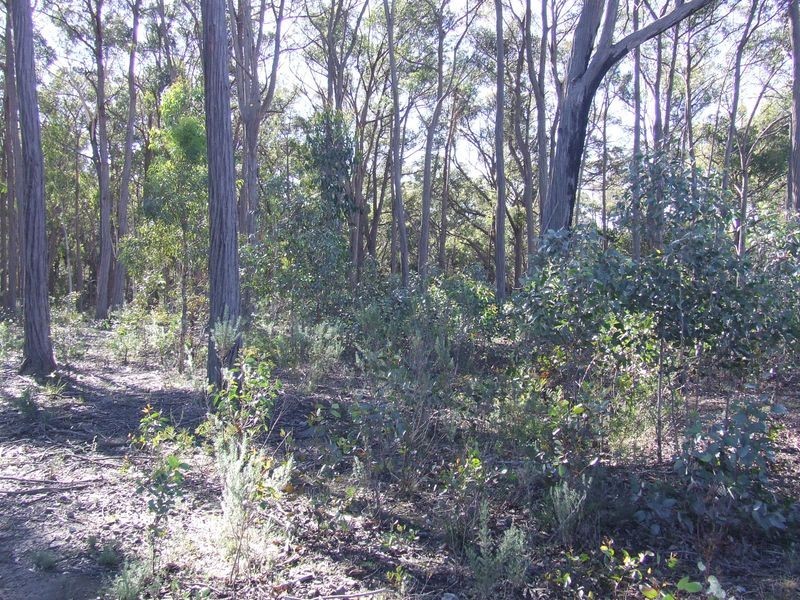 962 Cullulla Road, Tarago NSW 2580