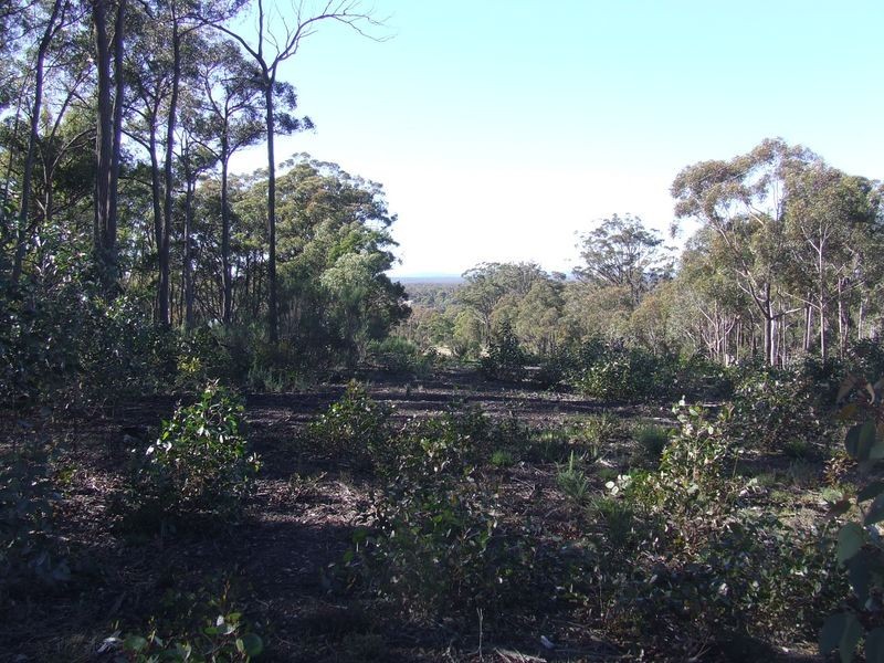 962 Cullulla Road, Tarago NSW 2580