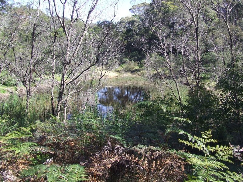 Lot 144 Long Gully Road, Taralga NSW 2580