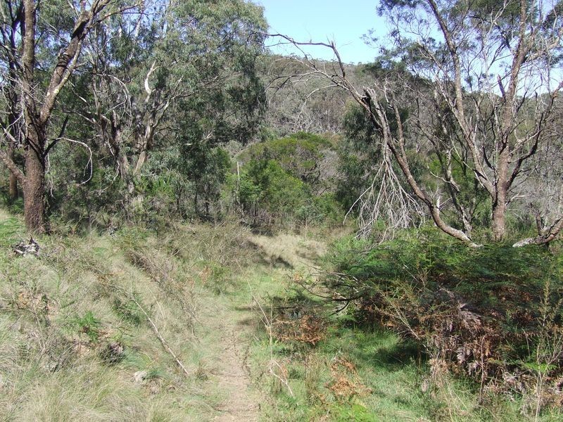 Lot 144 Long Gully Road, Taralga NSW 2580