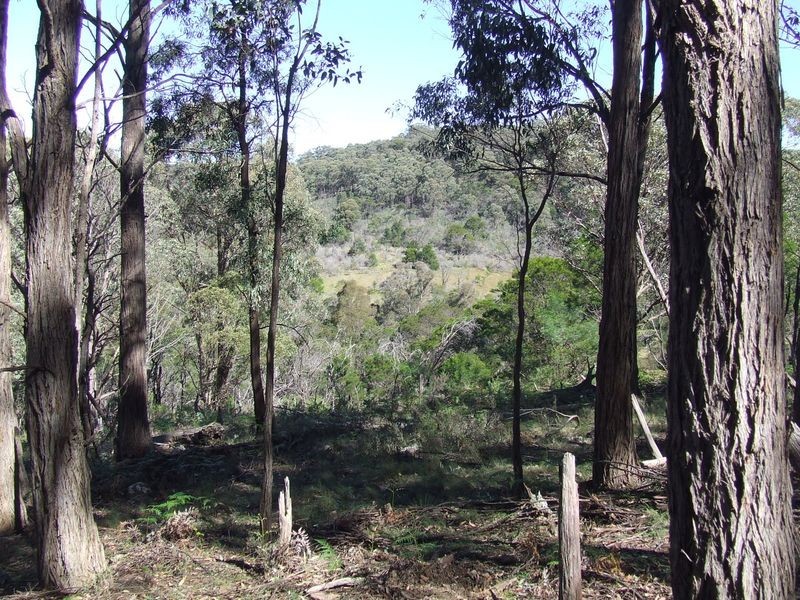 Lot 144 Long Gully Road, Taralga NSW 2580