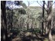 Lot 144 Long Gully Road, Taralga NSW 2580