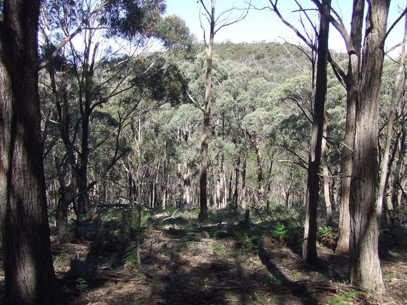 Lot 144 Long Gully Road, Taralga NSW 2580